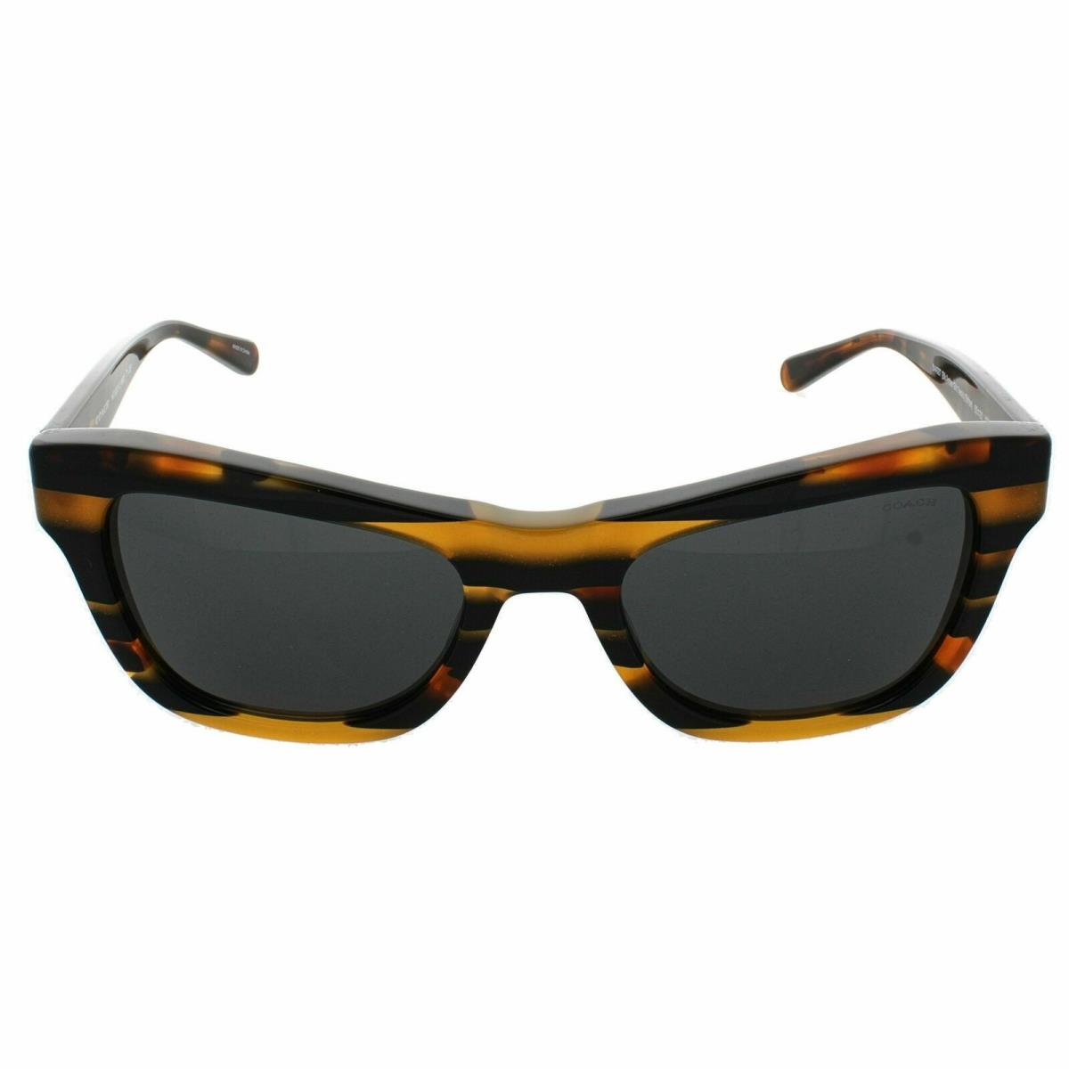 Coach HC8223 544087 Black Glitter Varsity Stripe/grey Sunglasses