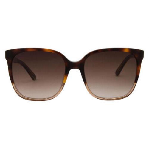 calvin klein havana glasses