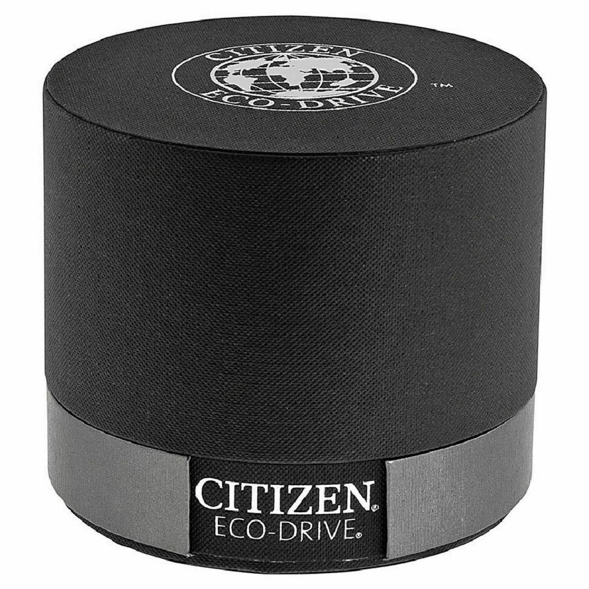 Citizen watch  - Black Dial, Black Band 1