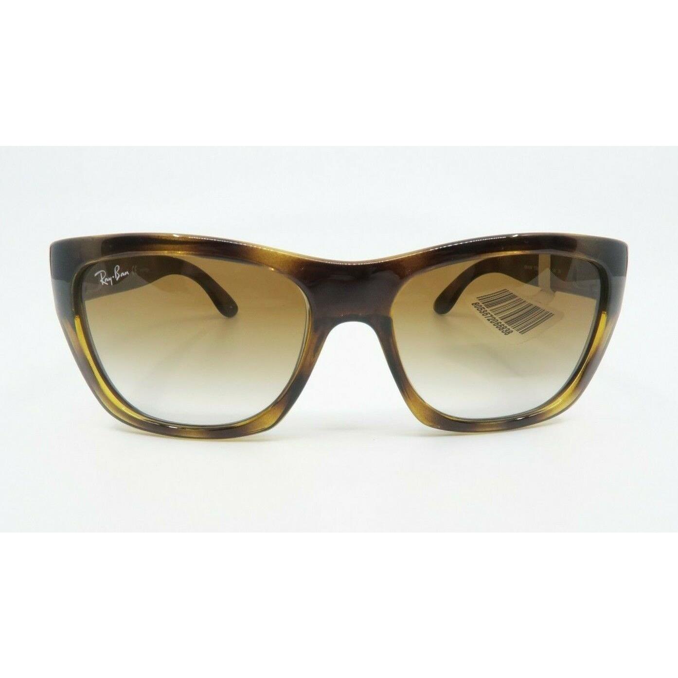 ray ban 4194 tortoise