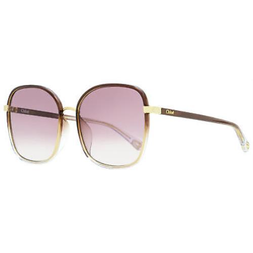 Chloé Chloe Franky Sunglasses CH0031SA 004 Gold/brown/transparent 59mm 31