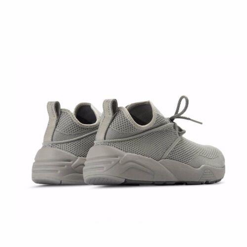 Puma shoes  - Steel Gray 1