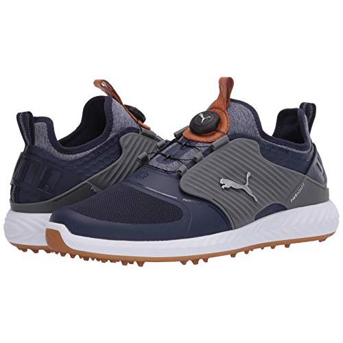 ignite pwradapt disc men's golf shoes