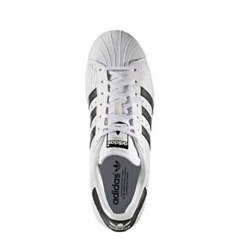 all white shell toe