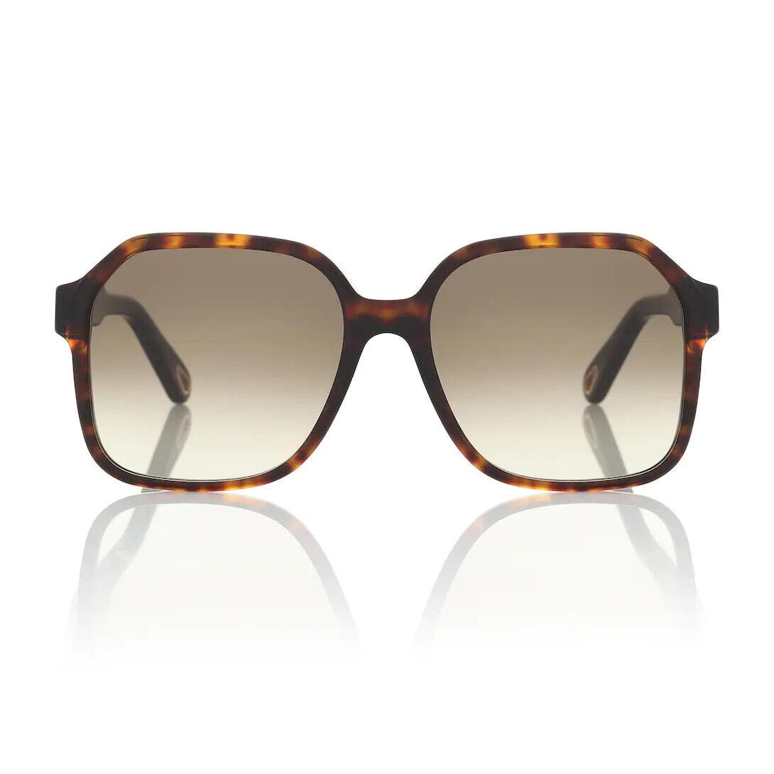 Chloé Chloe Willow 56mm Gradient Brown Tortoise Rectangular Sunglasses S2869