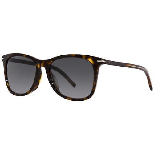 Christian Dior Homme Blacktie268FS 086/9O Sunglasses Men`s Havana/grey Lens 55mm - Havana Frame, Gray Lens