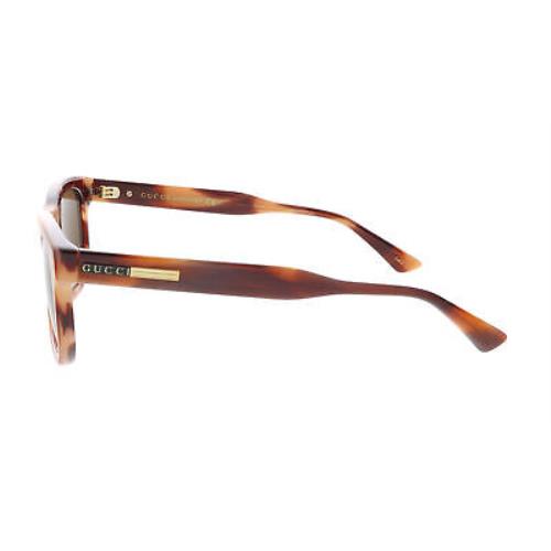 Gucci sunglasses  - Havana , Havana Frame, Brown Lens 1