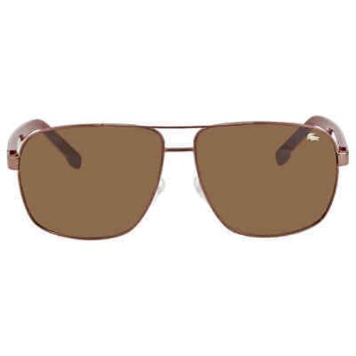 Lacoste Brown Shaded Navigator Unisex Sunglasses L162S 210 61 L162S 210 61