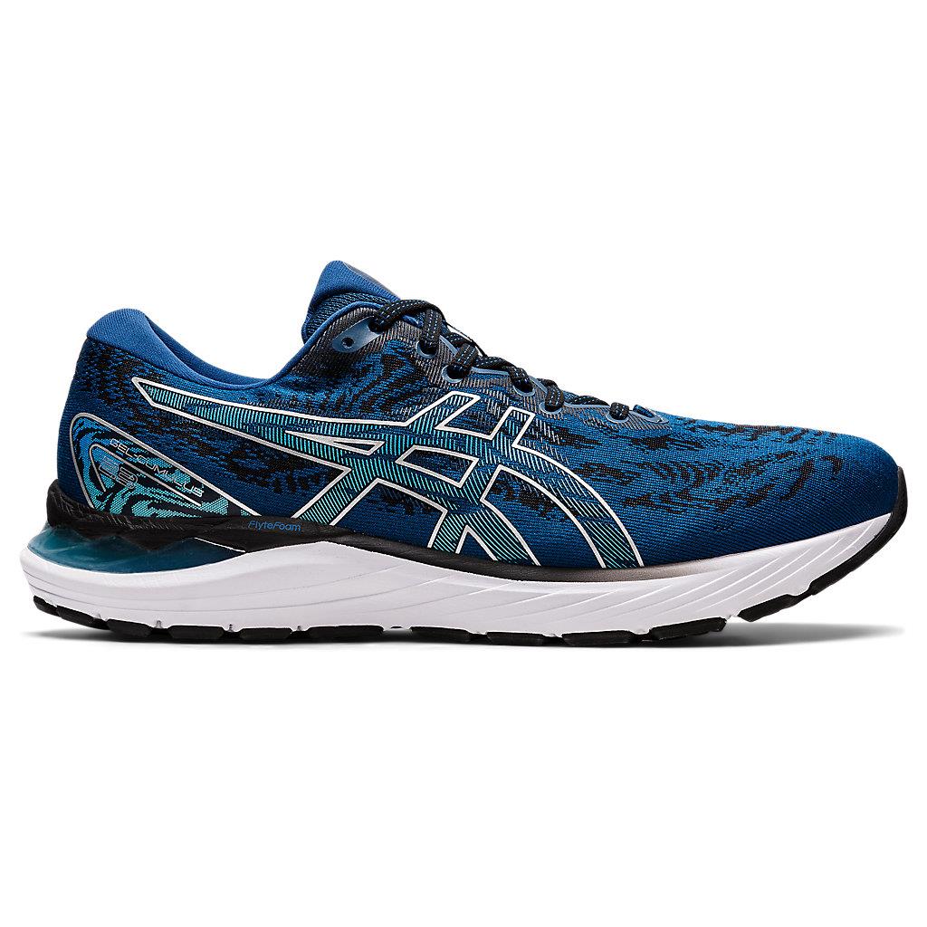 asics men blue shoes