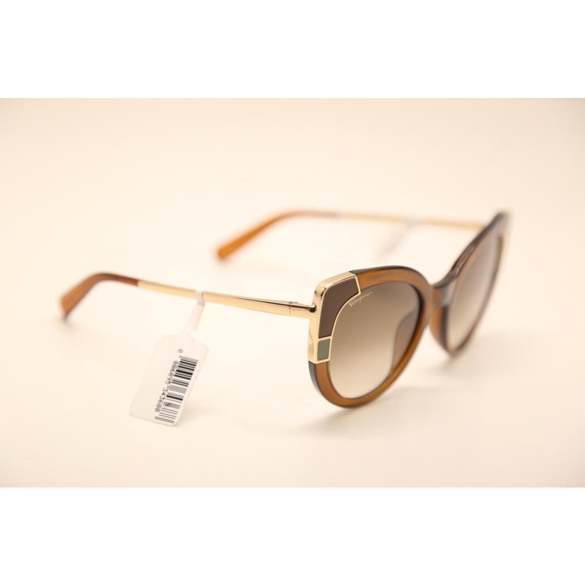 Salvatore Ferragamo sunglasses  - Crystal Brown Frame, Brown Lens 0