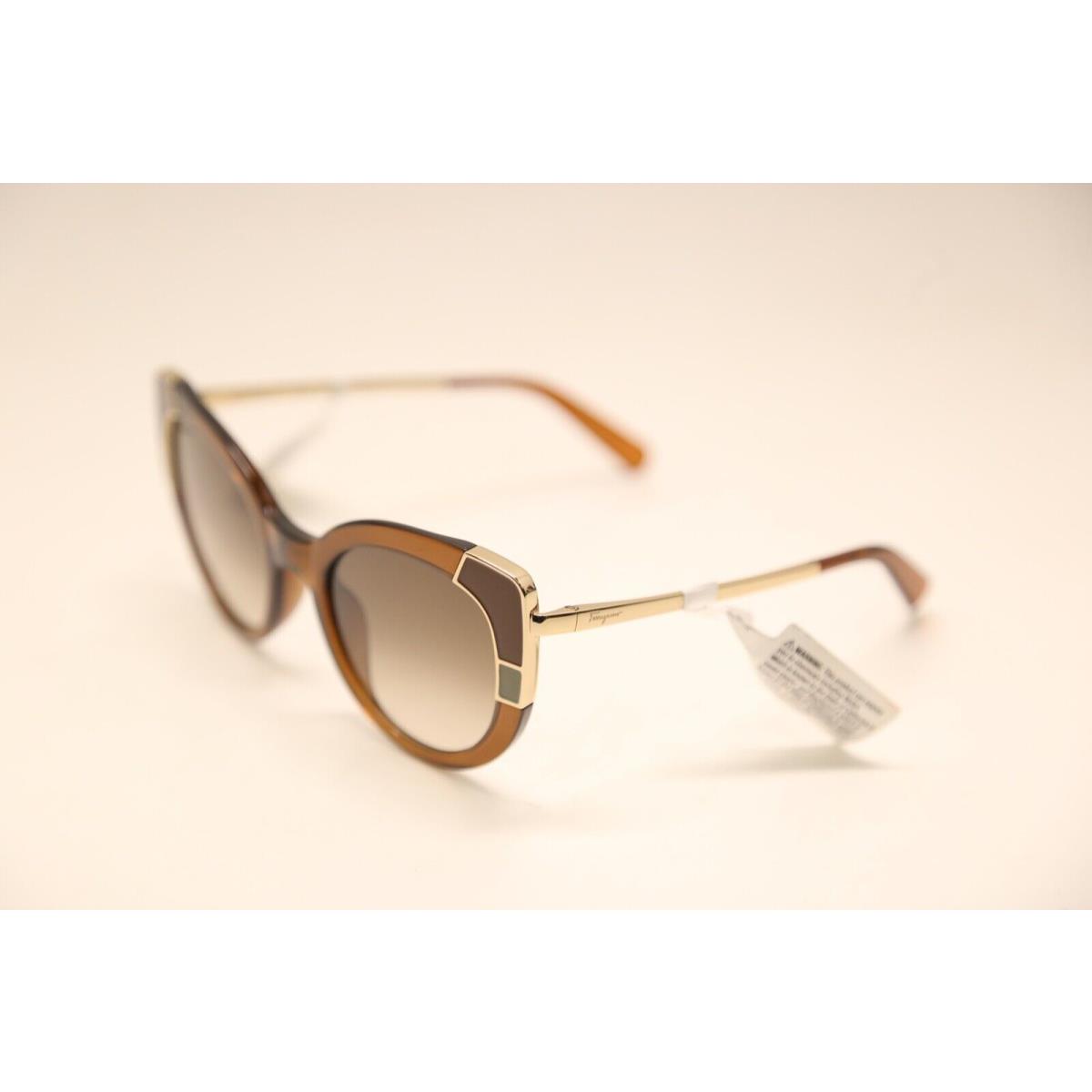Salvatore Ferragamo sunglasses  - Crystal Brown Frame, Brown Lens 1