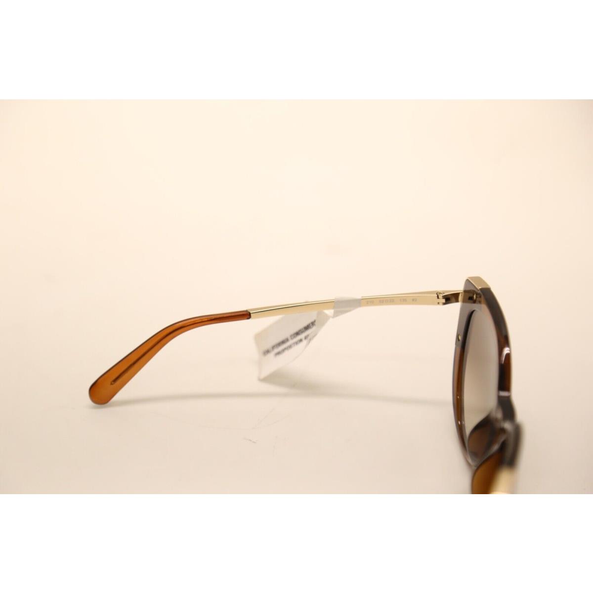 Salvatore Ferragamo sunglasses  - Crystal Brown Frame, Brown Lens 4