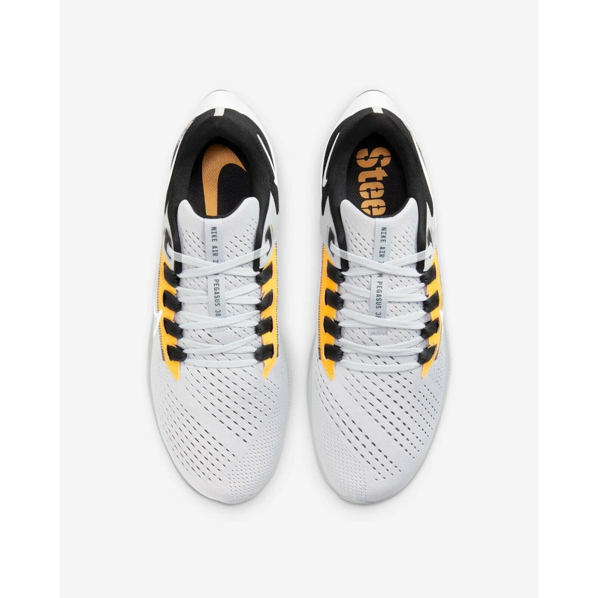 pegasus 38 steelers