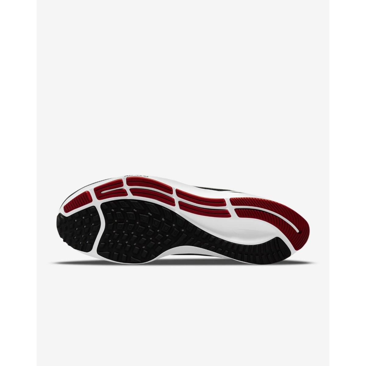 falcons nike pegasus