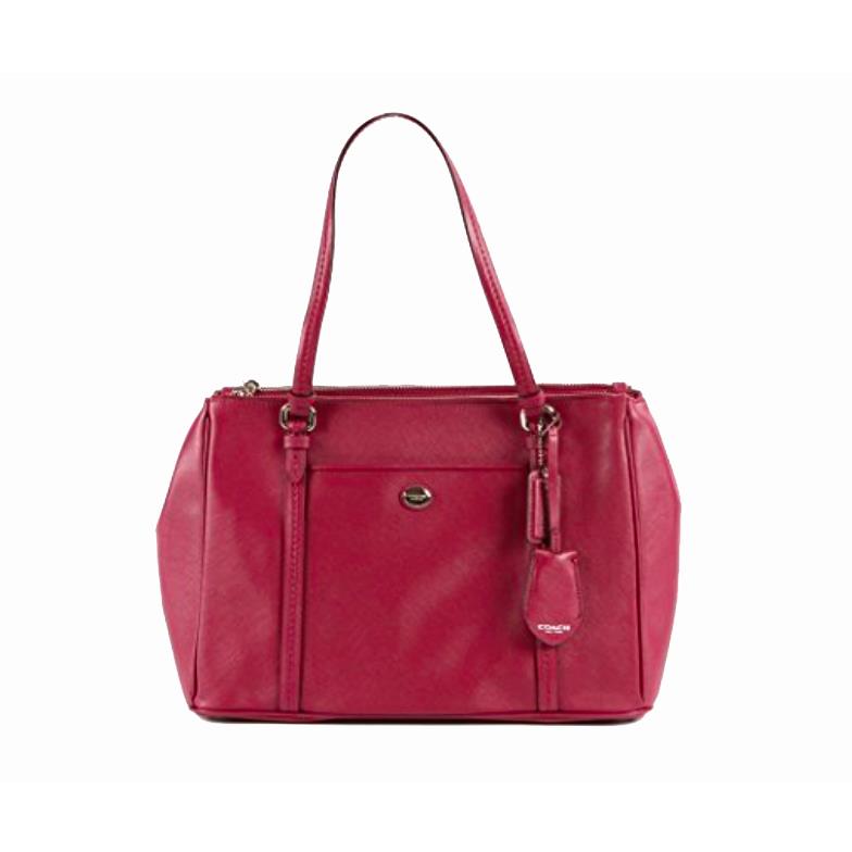 brie carryall coach