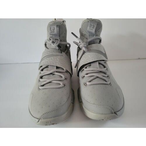Nike shoes LeBron XIV - Gray 0