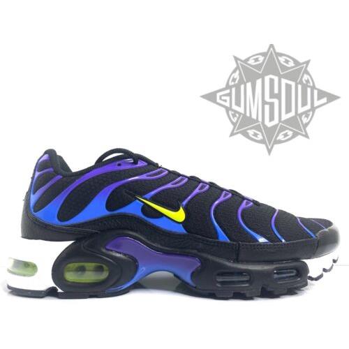 air max plus court purple