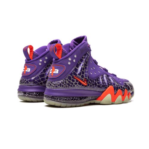 Nike shoes Barkley Posite Max - Purple 0
