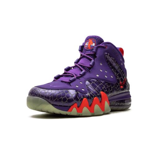 Nike shoes Barkley Posite Max - Purple 1