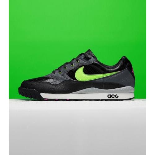 Nike shoes Wildwood Acg - Black 3