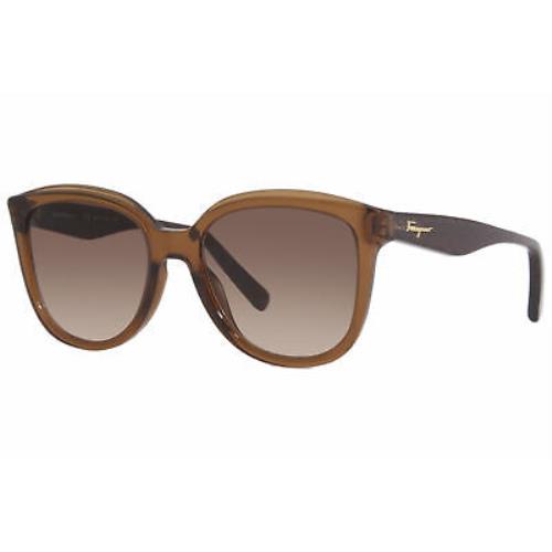 Salvatore Ferragamo SF977S 210 Sunglasses Women`s Crystal Brown/brown Grad. 53mm