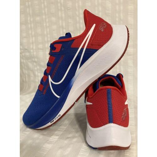 bills pegasus 38