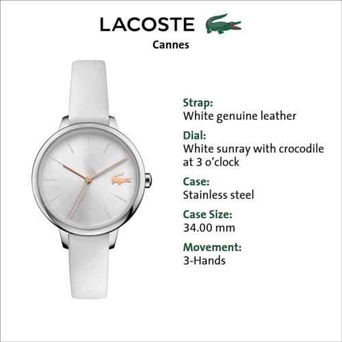 lacoste genuine leather watch