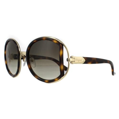 Salvatore Ferragamo Tortoise / Brown Gradient 52mm Ladies Sunglasses SF719S 238