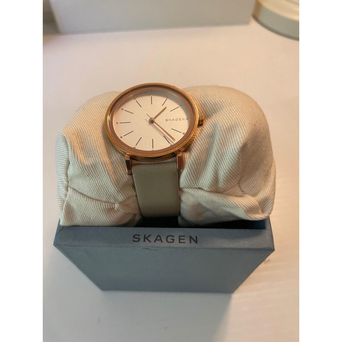 Swatch Skagen SKW2483 Ladies Quartz Watch Gray Leather