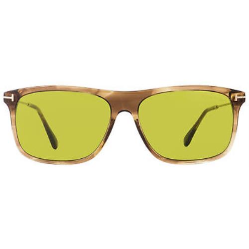 Tom Ford sunglasses  - Brown Melange/Gold Frame, Green Lens 0