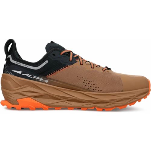 Altra shoes  - Brown 1