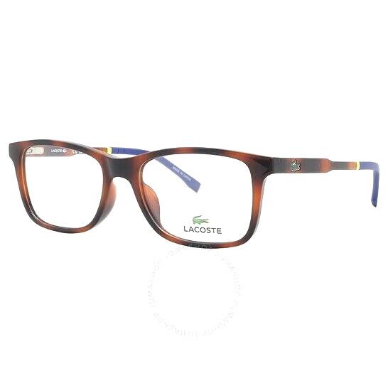 and Aauthentic Lacoste L3647 214 Havana 50 16 140