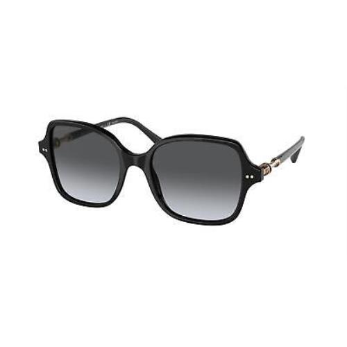 Bvlgari 8239 Sunglasses 501/T3 Black