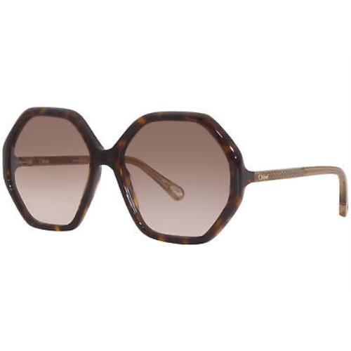 Chloe CH0008S 004 Sunglasses Women`s Havana/brown Gradient Lens Round Shape - Frame: Havana, Lens: Brown