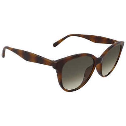 Salvatore Ferragamo sunglasses  - Brown Frame, Grey Lens 0