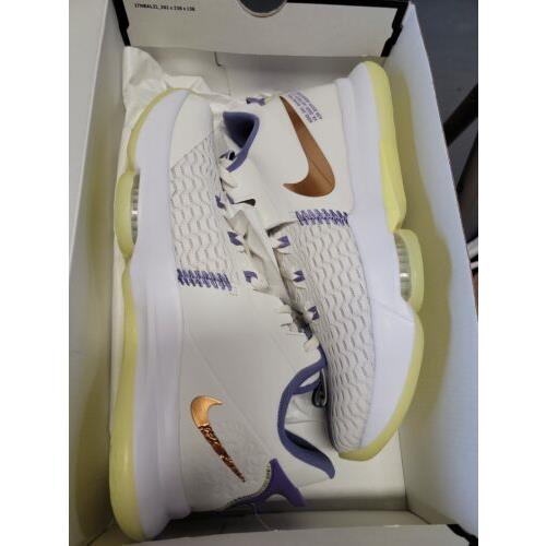 Nike Lebron Witness V Summit White Bronze CQ9380-102 Basketball Shoes Size 11.5