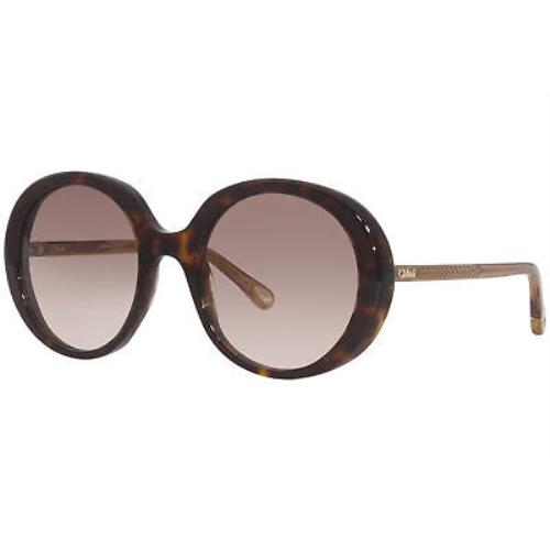 Chloe CH0007S 004 Sunglasses Women`s Havana/brown Gradient Lens Oval Shape 54-mm
