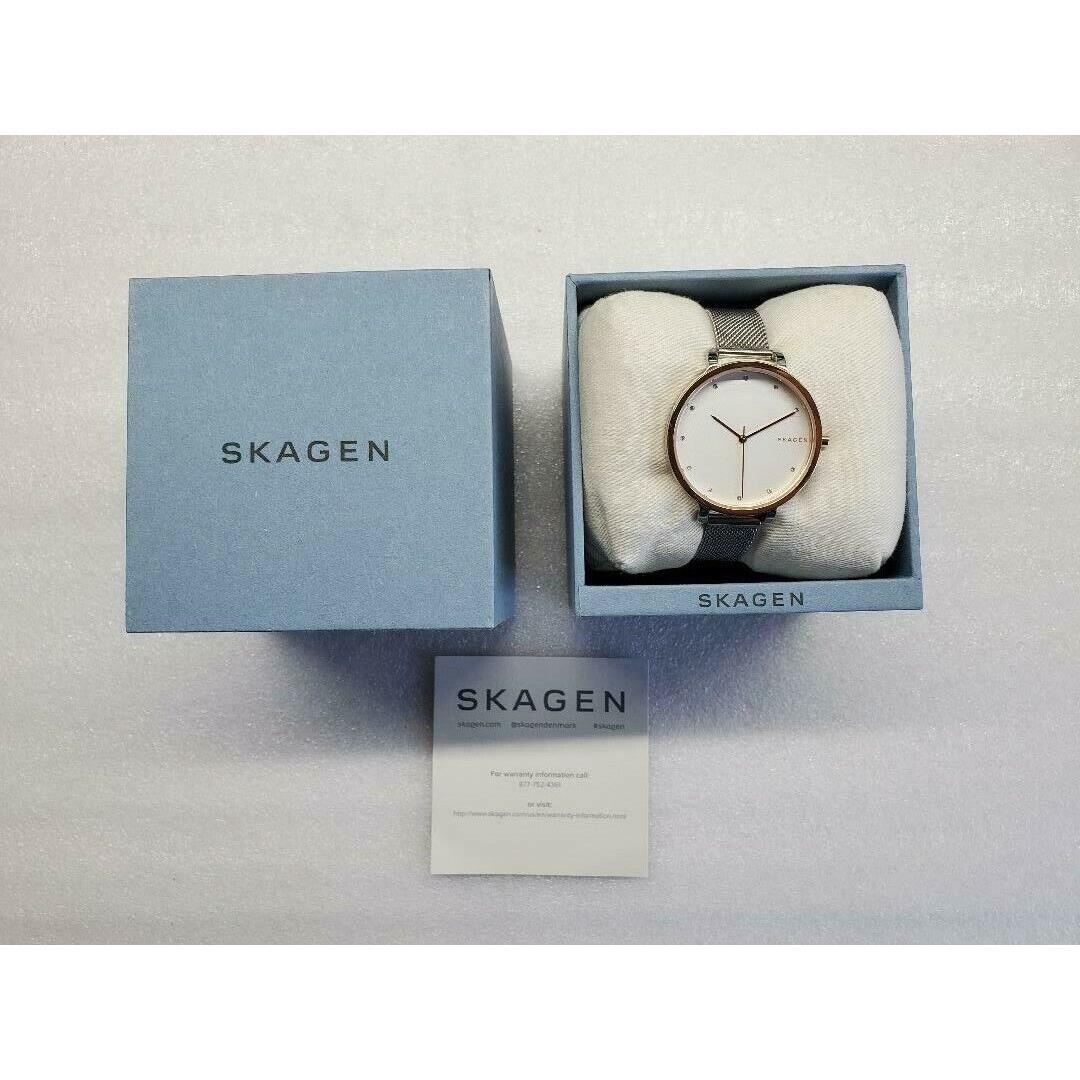 Skagen Hagen Silver Dial Rose Gold Case Mesh Bracelet Ladies Watch SKW2662