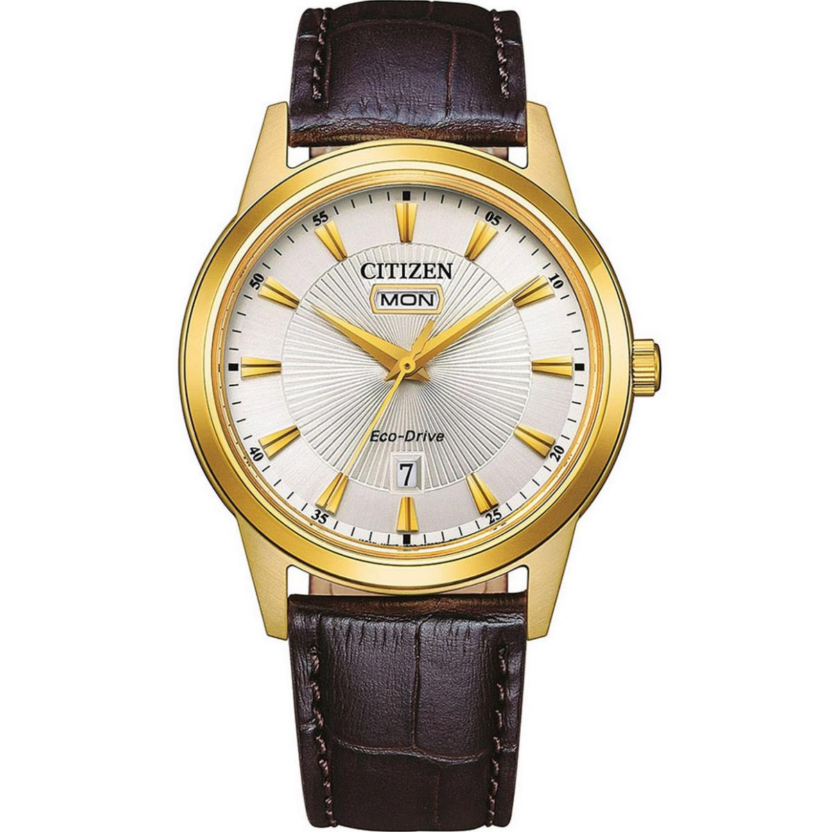 Citizen Gold Tone Leather Band Date Day Indicator Eco-drive Watch AW0102-13A