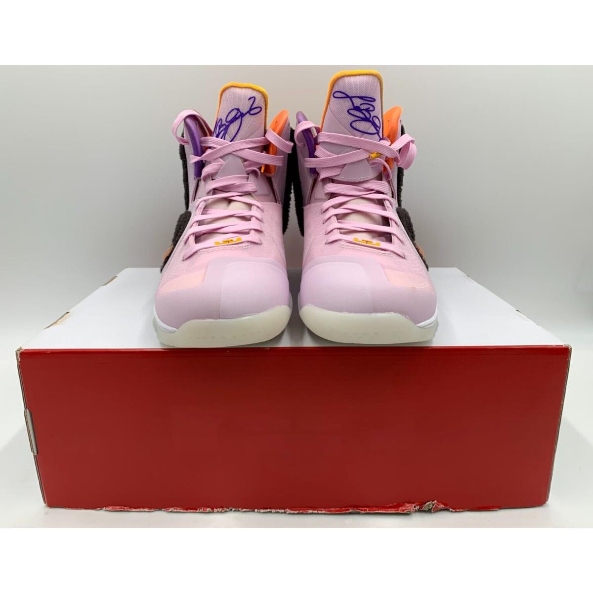 Nike shoes LeBron - Pink Multi 2