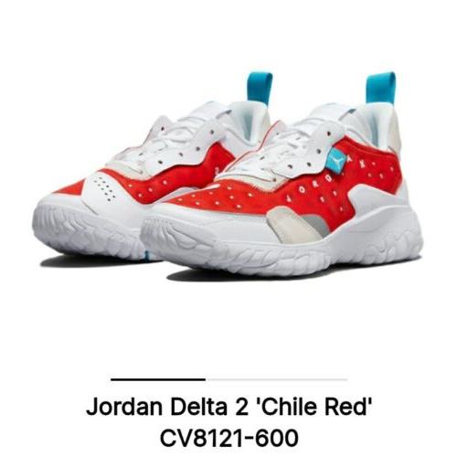 Nike shoes Air Delta - Gray 1