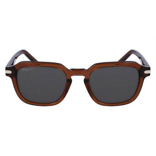 Salvatore Ferragamo SF1089S Sunglasses Transparent Brown 52mm