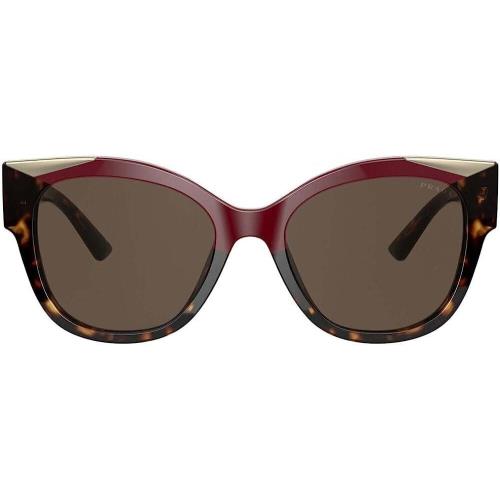 Prada PR 02WS 07C0D1 Maroon/havana Plastic Square Sunglasses Brown Lens