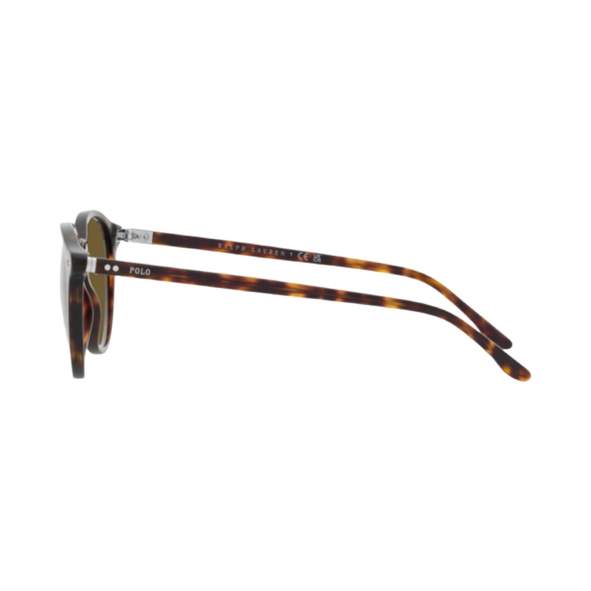 Ralph Lauren sunglasses  - Shiny Havana Frame, Olive Green Lens 1
