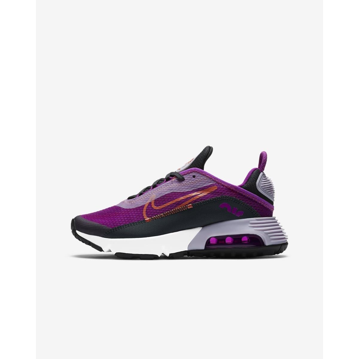 Nike Air Max 2090 Youth Size 4.5 Same as Women 6.0 Violet Frost Rare Comfy SporTipTop