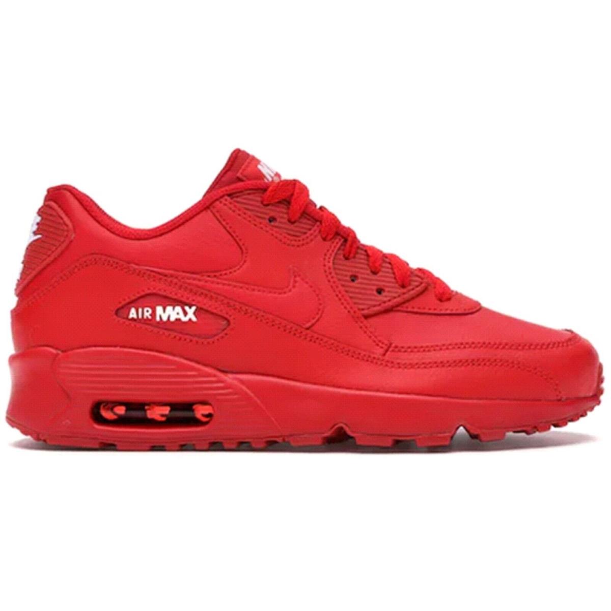 Nike Air Max 90 Ltr (gs) Air Max 90 Ltr GS Grade School Kid`s Sneaker