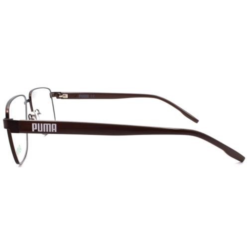 Puma eyeglasses  - Frame: Brown 1