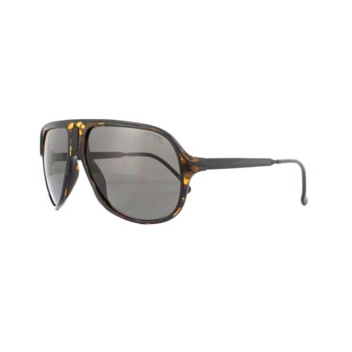 Carrera Sunglasses Safari 65 WR9 M9 Havana Gray Polarised - Brown, Frame: Brown, Lens: Gray