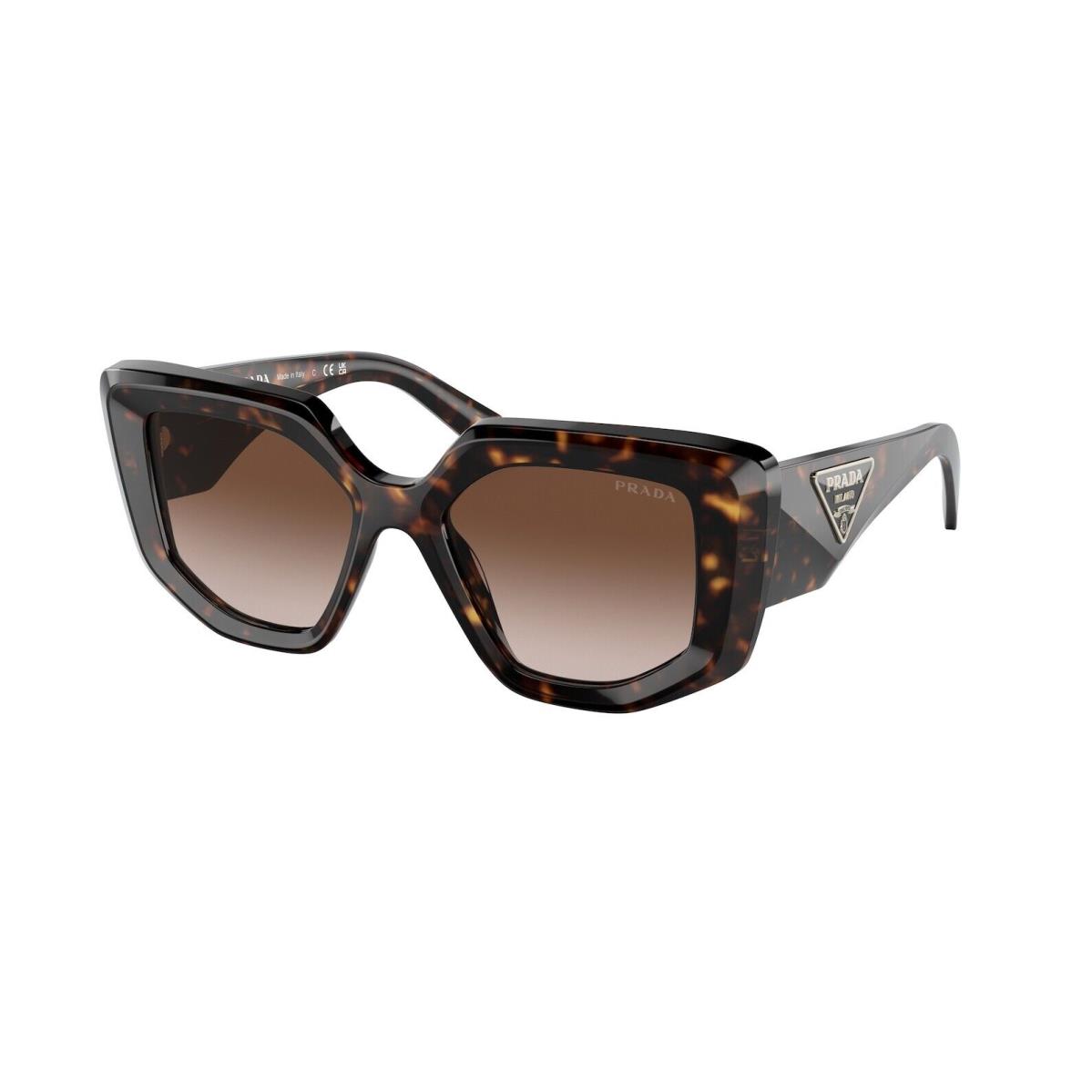 Prada 0PR14ZS 2AU6S1 Tortoise/brown Lens