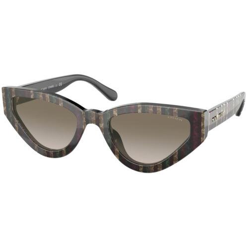 Coach Women`s Sunglasses C3450 Legacy Stripes Cat Eye Coach 0HC8319 56431352